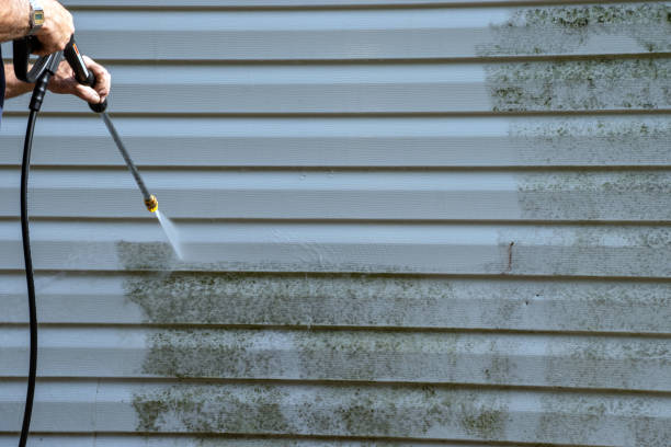 Best Storm Damage Siding Repair  in Horseshoe Bay, TX